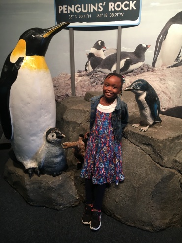 nayla aquarium penguins